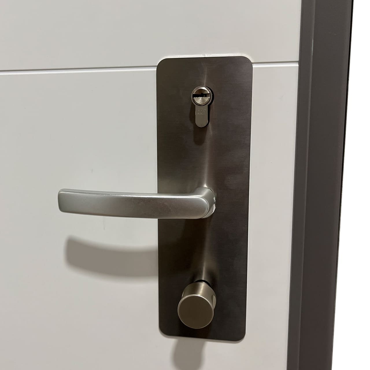 Detalle puerta de seguridad Inn.DOOR ecofeel 1