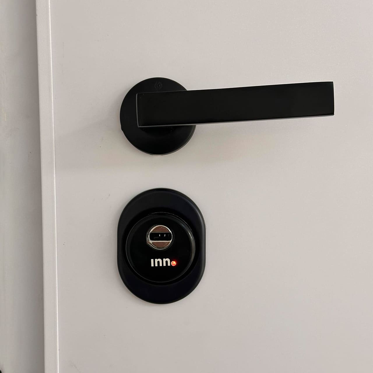 Detalle puerta de seguridad Inn.DOOR profeel 5