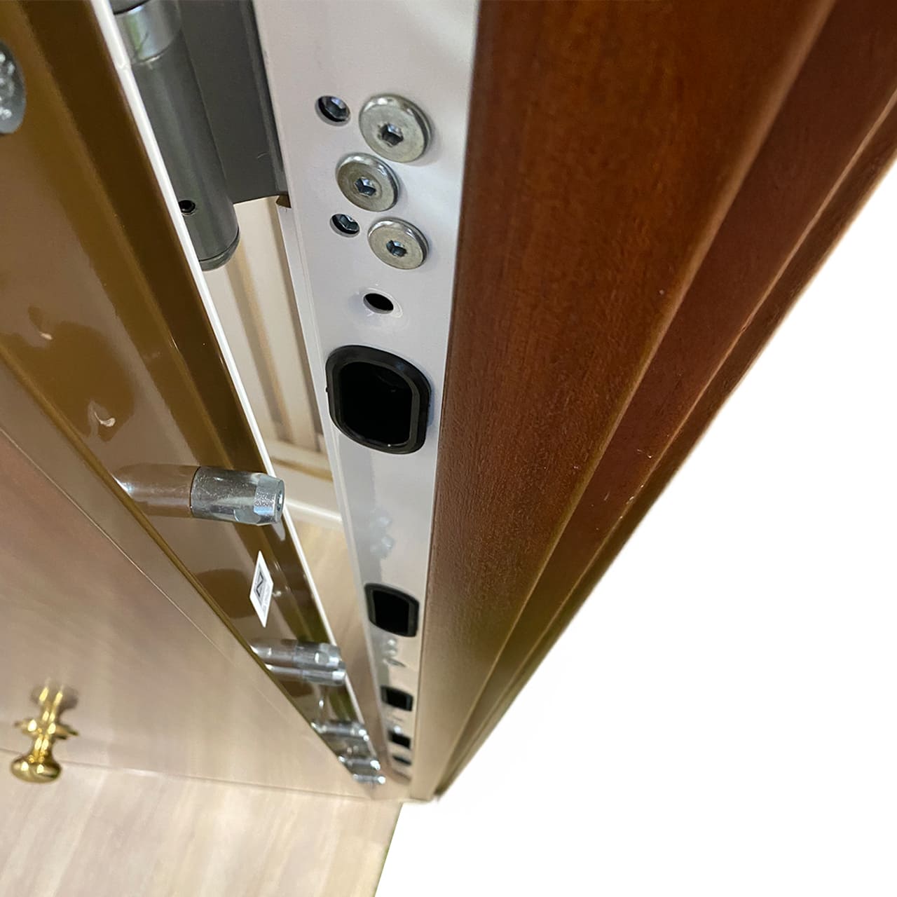 Detalle puerta de seguridad Inn.DOOR securefeel 11