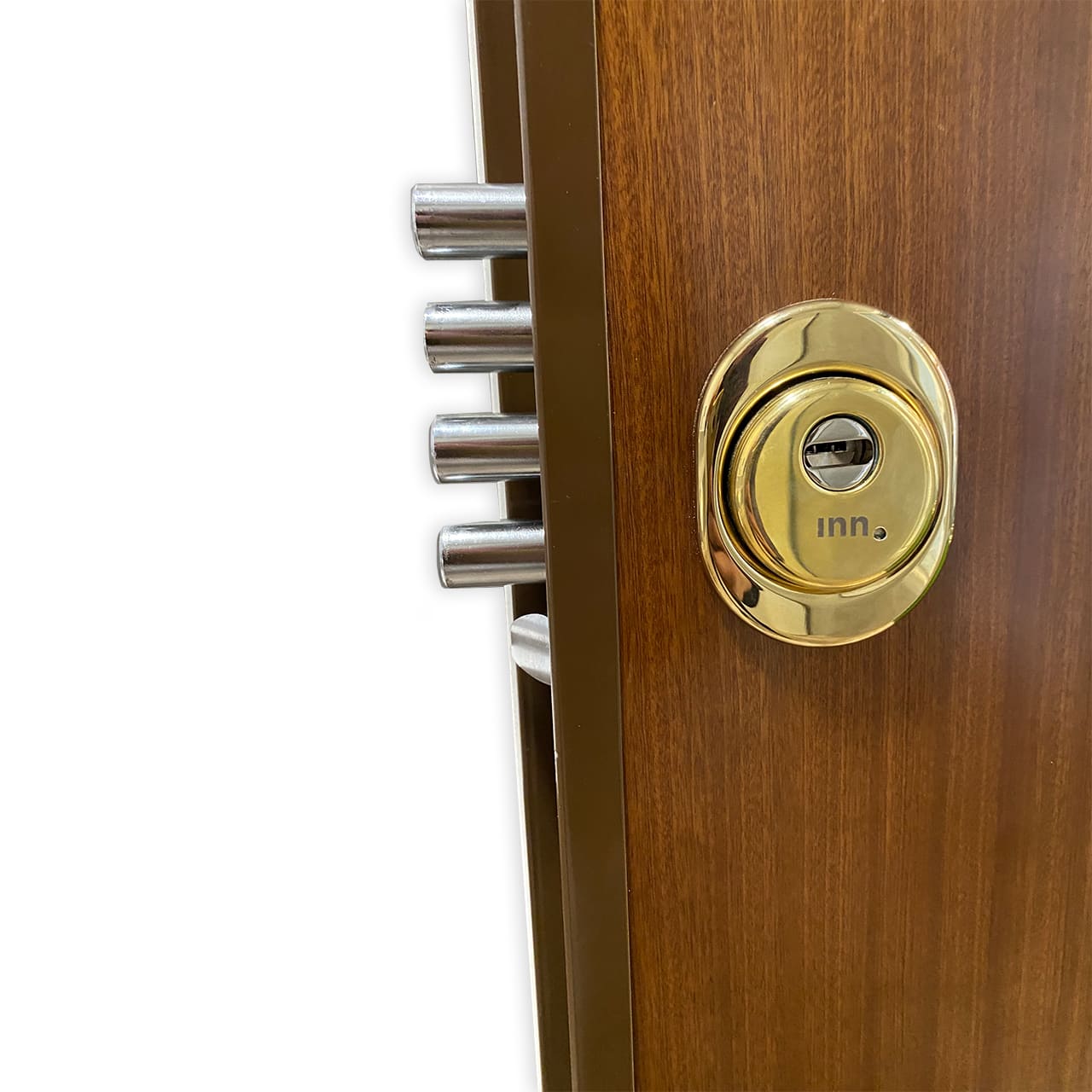 Detalle puerta de seguridad Inn.DOOR securefeel 9