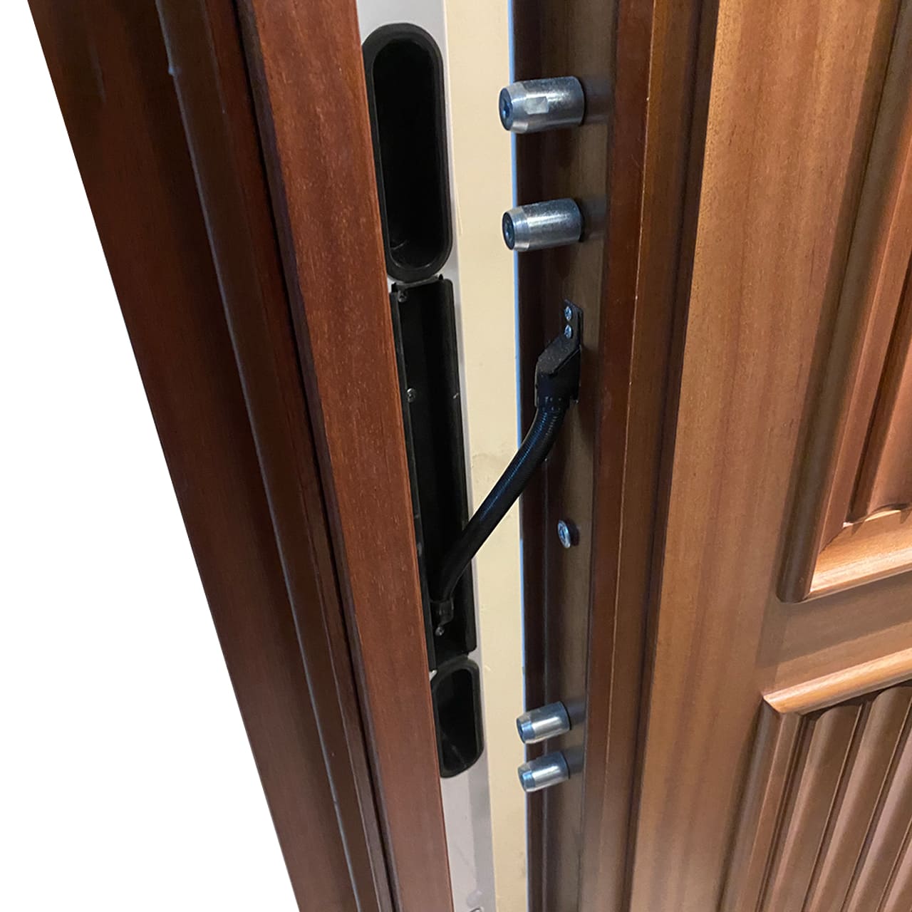Detalle puerta de seguridad Inn.DOOR securefeel motorizada